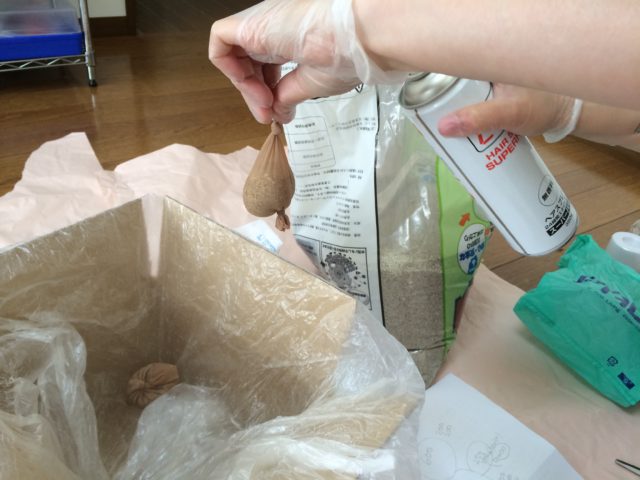 砂の飛散と漏れ防止にヘアースプレーでシューって固めます。