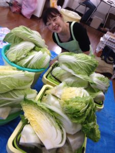 ざるに入れて水を切ります。16個の白菜は64株になりました