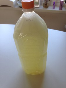 石鹸プリンの出来上がり♪