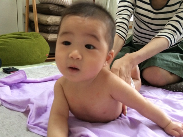 おなじみこゆたん♪うつぶせはお手のものです(*^^)v