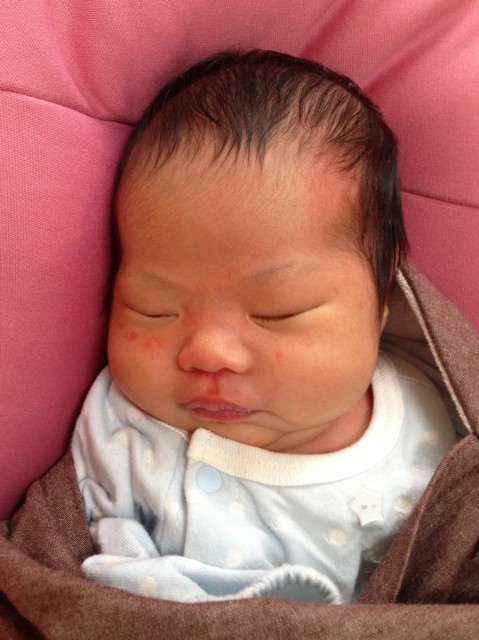 20141127-4太くんアップ