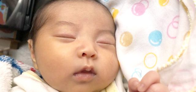 【往診】ゆっちゃんに会いに行ってきました♪ 【往診】ゆっちゃんに会いに行ってきました♪