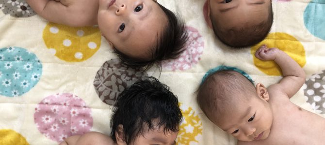 【ベビマ】今回はややこじんまり♪ 【ベビマ】今回はややこじんまり♪