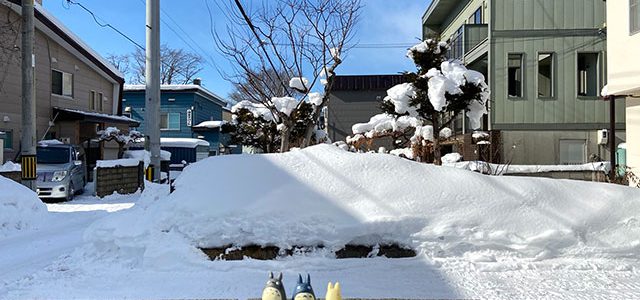 第2回ひとり雪まつり始まりました 第2回ひとり雪まつり始まりました