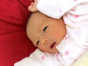 元旦のしーちゃん。顔がしっかりして来ましたよ♪