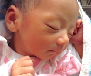 本日のしーちゃん。ピンクのリボンのお洋服がお似合いです♪