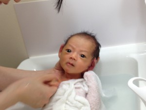 最終日のしーちゃんの沐浴シーン。お風呂が大好きになったようです♪