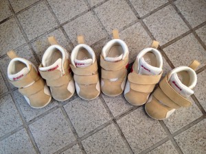 三つ子ちゃんたちの靴♪