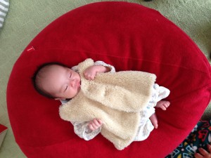 最近はグズグズくんとママは言ってますが、今はスヤスヤzzz