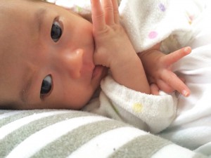 久しぶりのしーちゃん♪カメラ目線も様になってます(^O^)