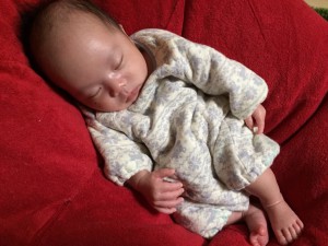 いっくんもぐっすりzzz