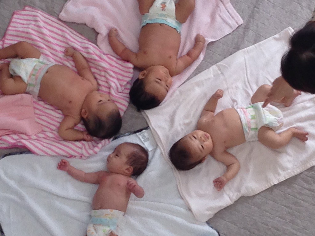 新しいお友だちが増えました♪