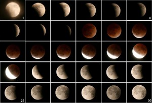 新月の時が一番潮の満ち引きの差が大きいのだそうです