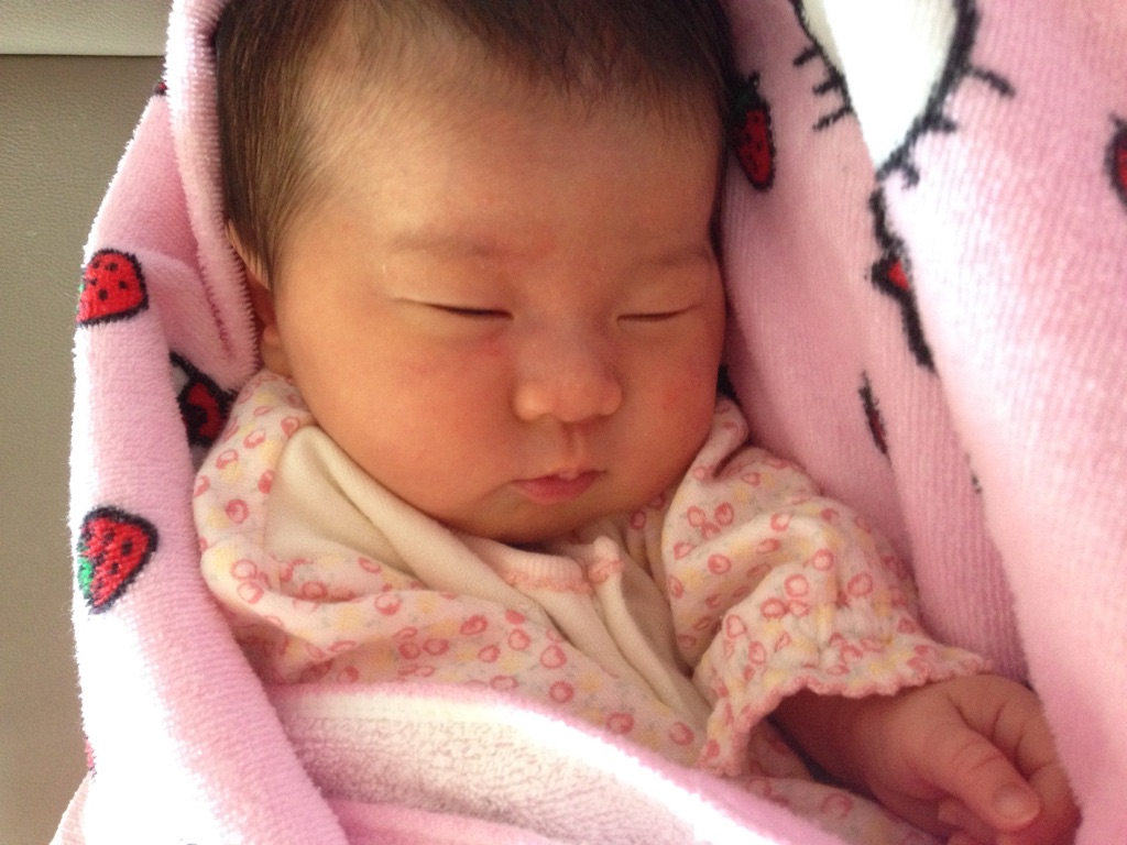 ゆうたん。今日で１カ月です♪