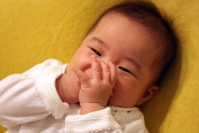 おなじみのこゆたんです♪