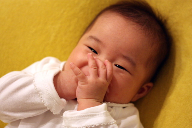 おなじみのこゆたんです♪