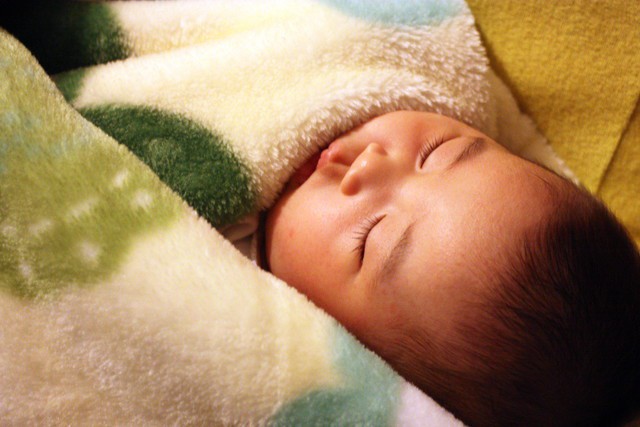 こゆたんも就寝(-_-)zzz