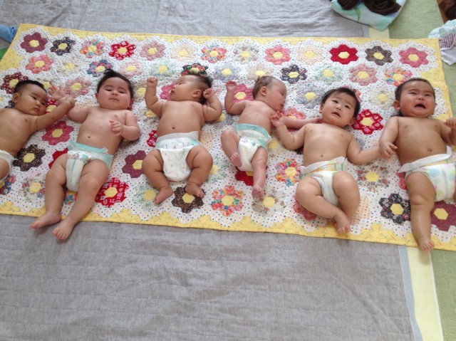 今回のお友だち♪