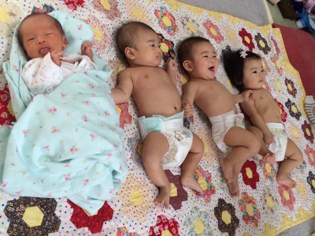 月齢順に並んでみました♪