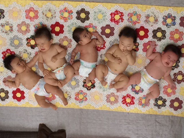 本日のお友だち♪