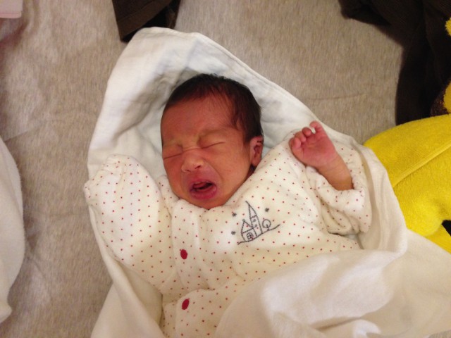 20141205こゆたん4