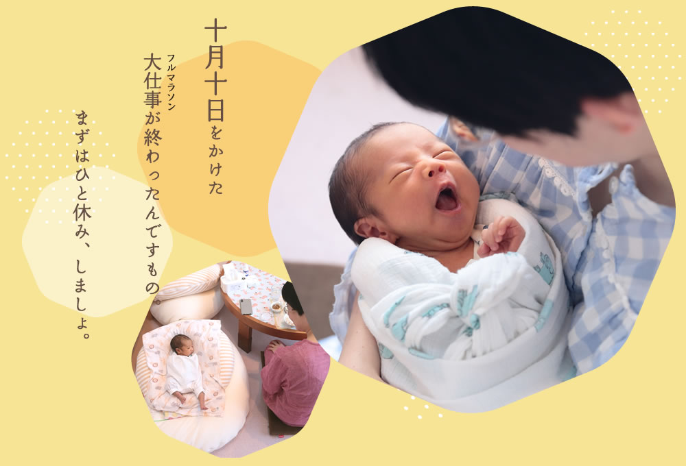 十月十日をかけたフルマラソンが終わったんですもの。まずはひと休み、しましょ。